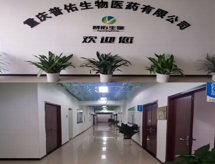 普佑研发中心一角